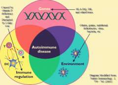 The aetiological agent of vitiligo