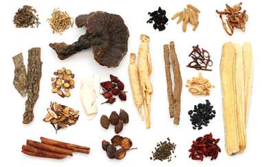 Chinese herb