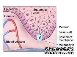 How The Skin Color Reture To Normal 