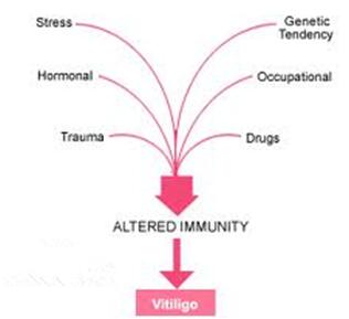 What is the essence of vitiligo