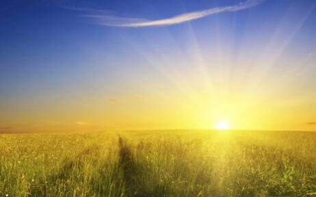 vitiligo and sunlight