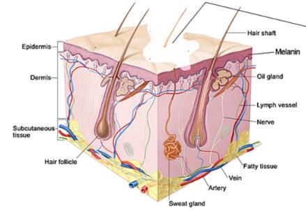 woman vitiligo causes